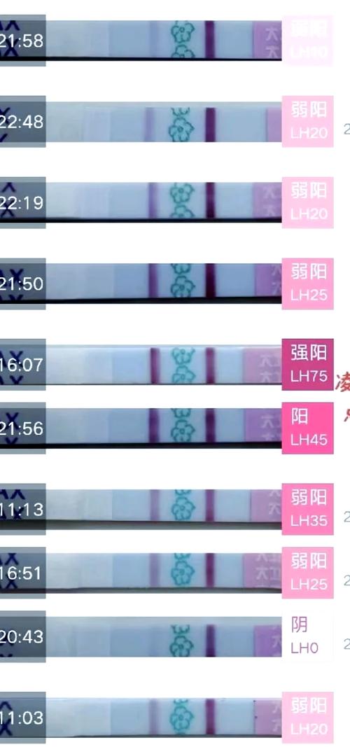 中药会影响排卵试纸吗