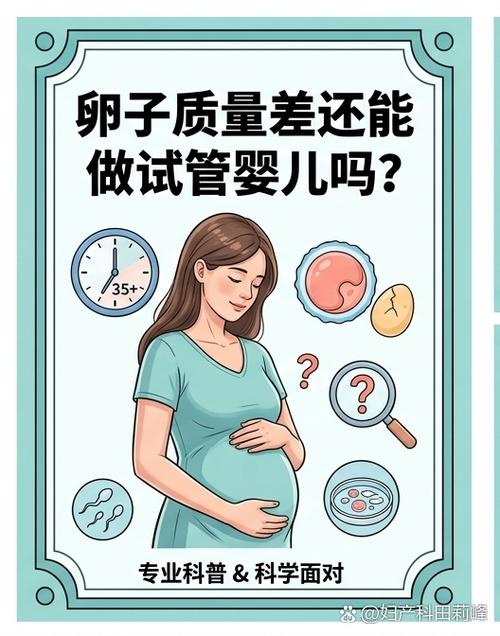 卵巢储备差做试管成功率多少