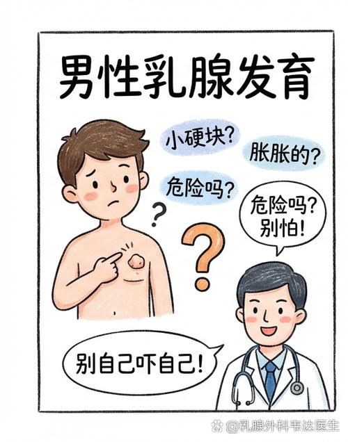 性欲低和男性乳房发育有关吗
