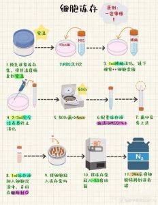 卵巢组织冻存移植怎么操作-两性知识丨两性健康--你想了解的我都知道