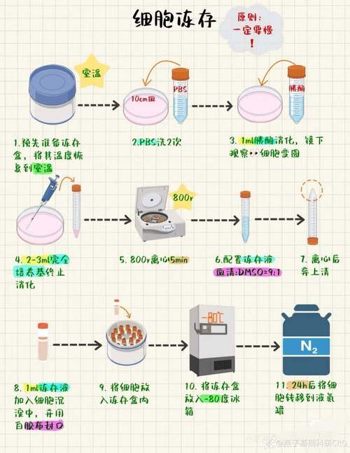 卵巢组织冻存移植怎么操作