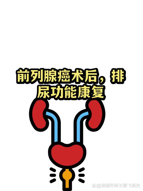 前列腺癌术后控尿功能能恢复吗