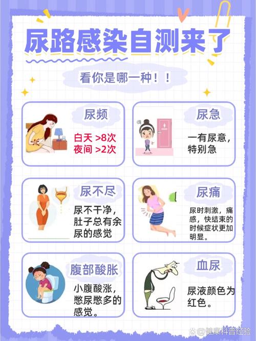 尿路感染反复要查什么